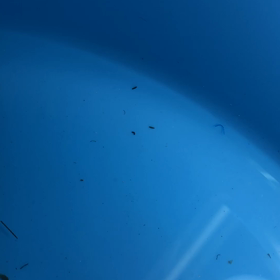 動いてるのわかるかな？の画像