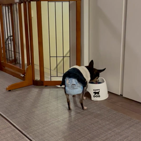 週末階段から落ちる事件の画像