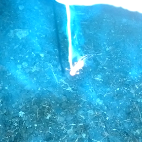 最近のは…根性がねぇ！の画像