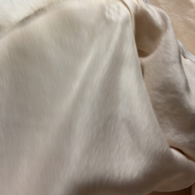 ニャンコの趣味の画像