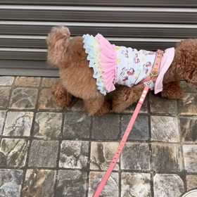 今を楽しもう！の画像
