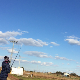 ゲイラカイトの画像