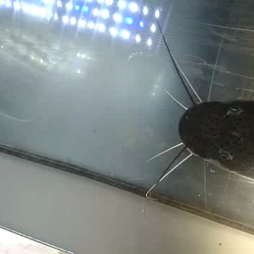 魚も飼い主分かんねんな。の画像