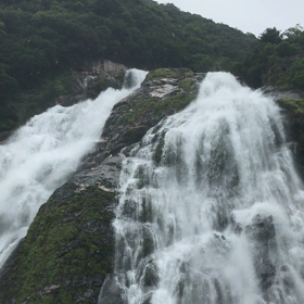 屋久島の旅 その2の画像