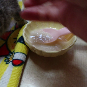 初めての離乳食の画像