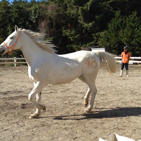 朝の運動の画像