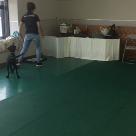 はるは、ボール大好きの画像