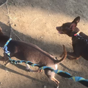 ♪60分遠足♪代々木公園♪3/20の画像