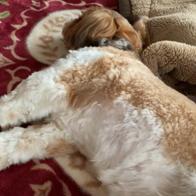 1月16日    楽しみが出来ました！の画像