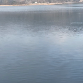 山中湖…もじりアリアリの画像