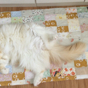 熱中症にご注意ー！の画像