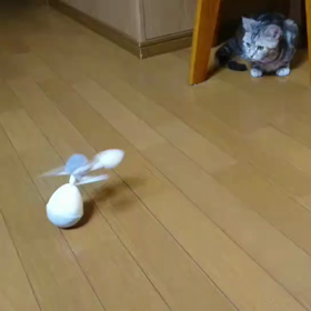 頼りっぱなしの画像