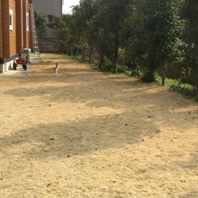 あろちゃん走るよ！走る！！の画像