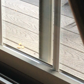 縮まる距離の画像