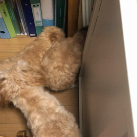 隙間遊びの画像