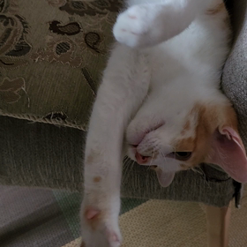 なんだかんだで、いつの間にか５月…なんですねぇ~。の画像