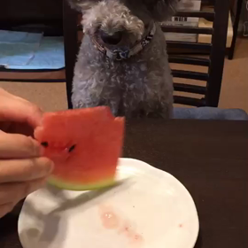 スイカをモグモグ食べる♪in Englishの画像