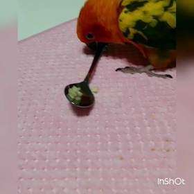 ぴーちゃんと林檎。の画像