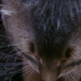 400.ふみふみ♪の画像