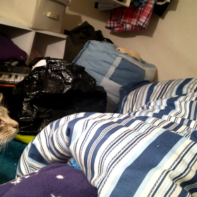 就寝前のお戯れの画像