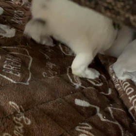 昨日のまいまい★の画像