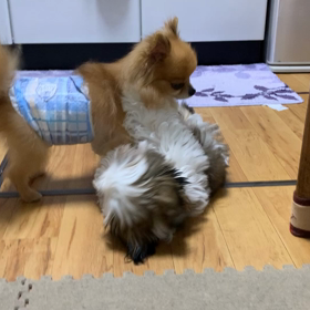 近づけてるのか？それとも？の画像