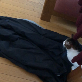 スポーツクラブの思惑を探る会員！パチンコ屋はいいの？デール動画の画像