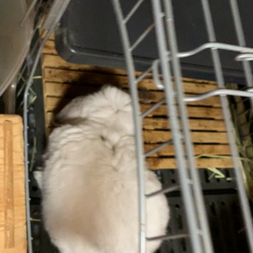 梅雨ですなぁの画像