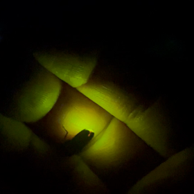 フライング気味の訪問者の画像