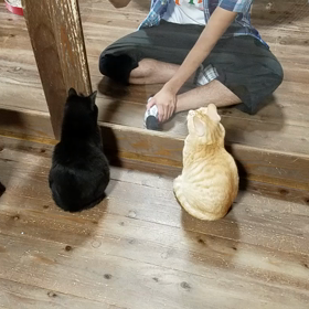 カフェガット♪の画像