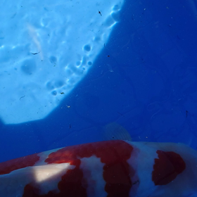 思いはそれぞれｗの画像