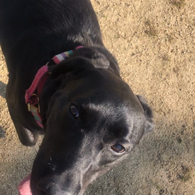 できるようになった事❗️の画像