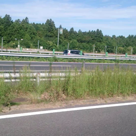 『紹介しちゃえ』55の画像