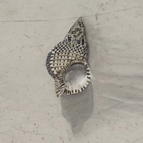 最美的風景在心中の画像