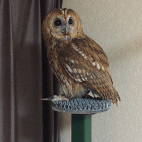 インスタ風⑵の画像