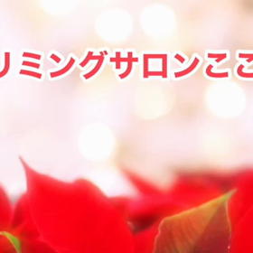 12月　〜スライドショー〜の画像