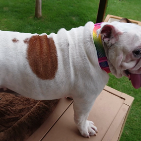 ぶ「久しぶりは疲れる」の画像