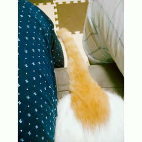 20　振り子の画像