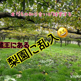 平常に戻りましたの画像