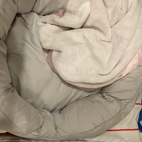 見事な巣作り☆の画像