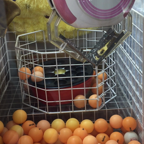 今日の一撃の画像