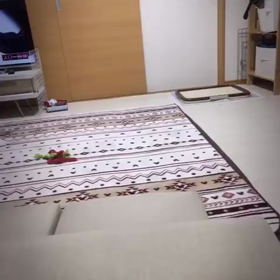 お兄ちゃん まって〜の画像