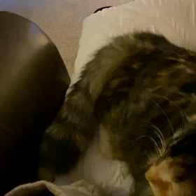 ロックを聴くHanaの画像