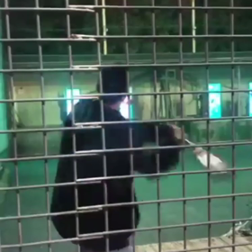 ジョンソク君 ストーリー 10.14の画像