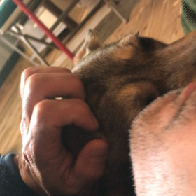 正月のひとこまの画像