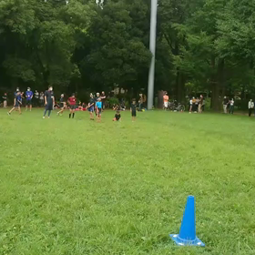 ダッシュ(白・その他グループ)④の画像