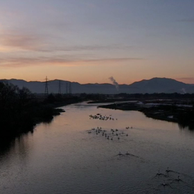 え…なんつー勢いで減るかなぁ…の画像