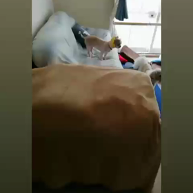 りえがんばる♪の画像