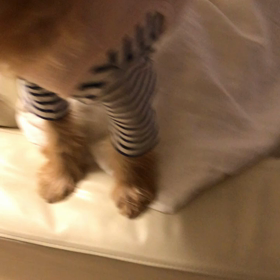 待ち人来たる❕の画像