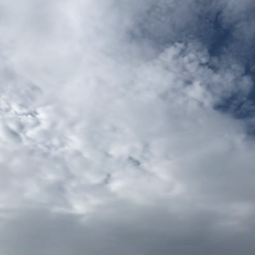 癒しのひとときの画像